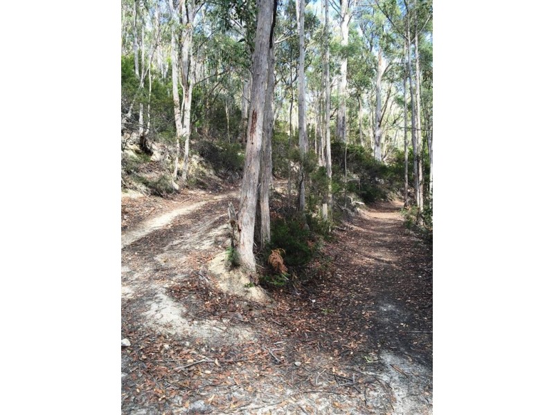 . Margate, Allens Rivulet TAS 7150