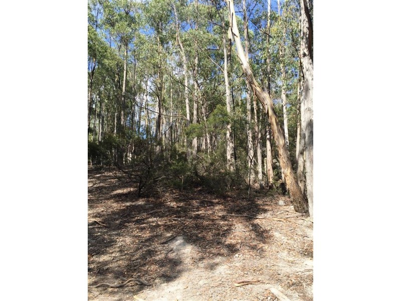 . Margate, Allens Rivulet TAS 7150