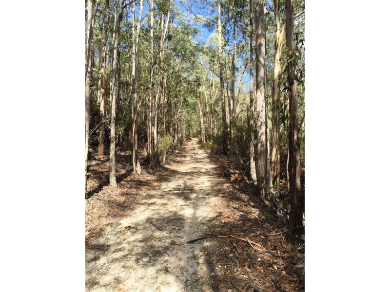 . Margate, Allens Rivulet TAS 7150