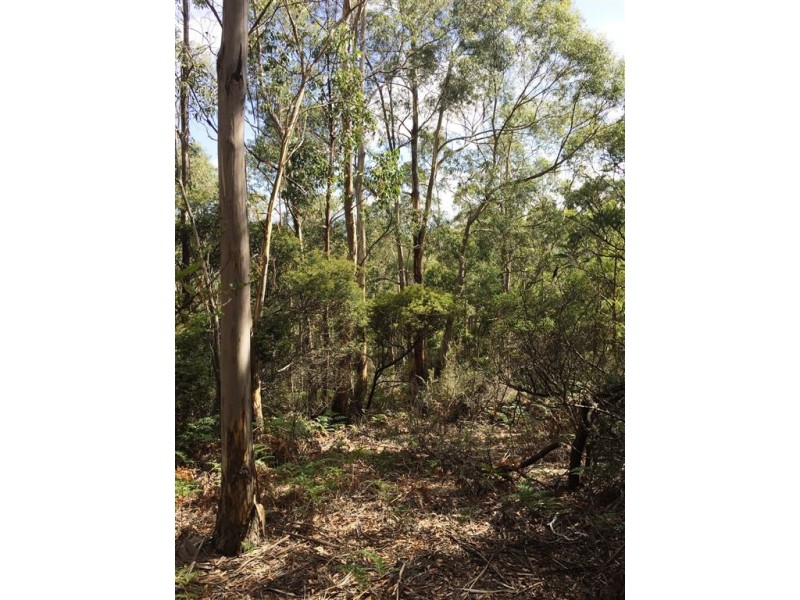 . Margate, Allens Rivulet TAS 7150