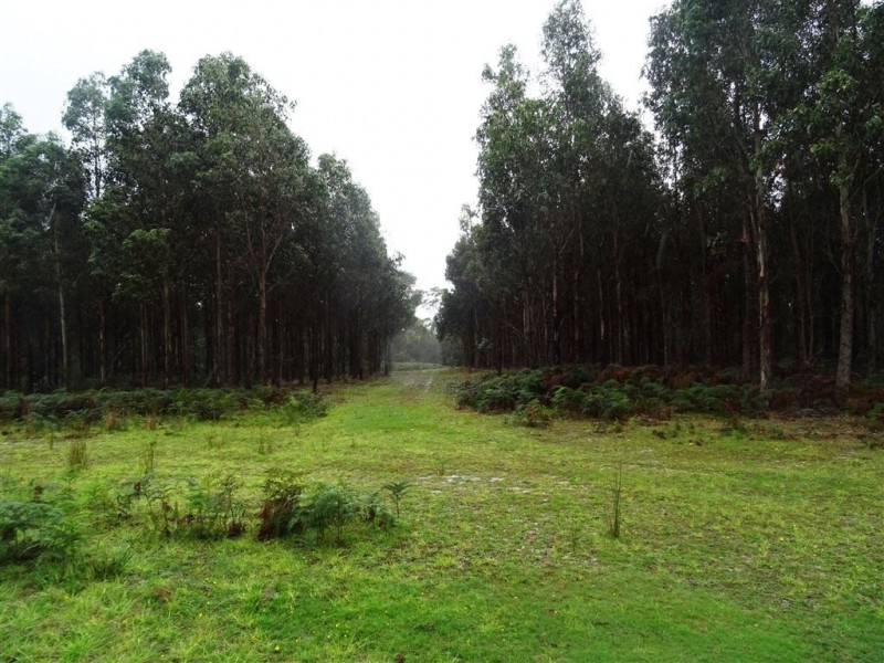 103ha Ansons Bay Road, St Helens TAS 7216