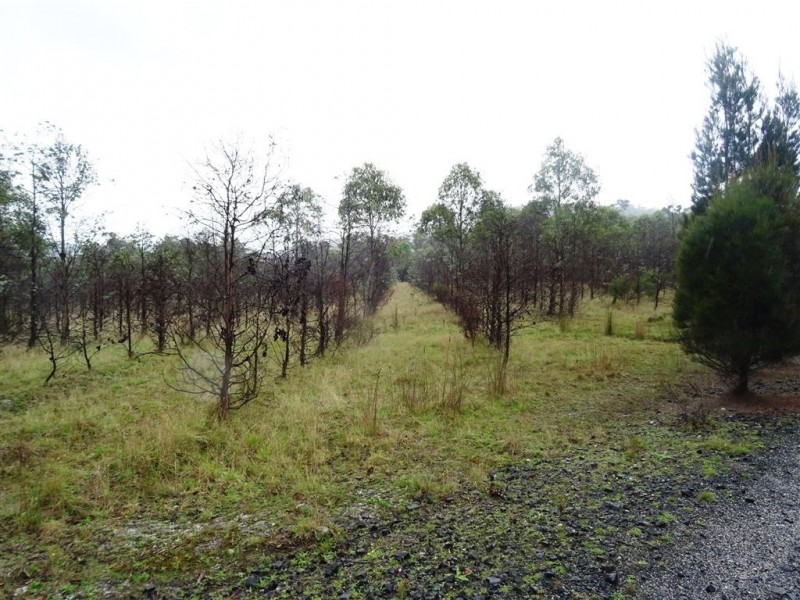 103ha Ansons Bay Road, St Helens TAS 7216