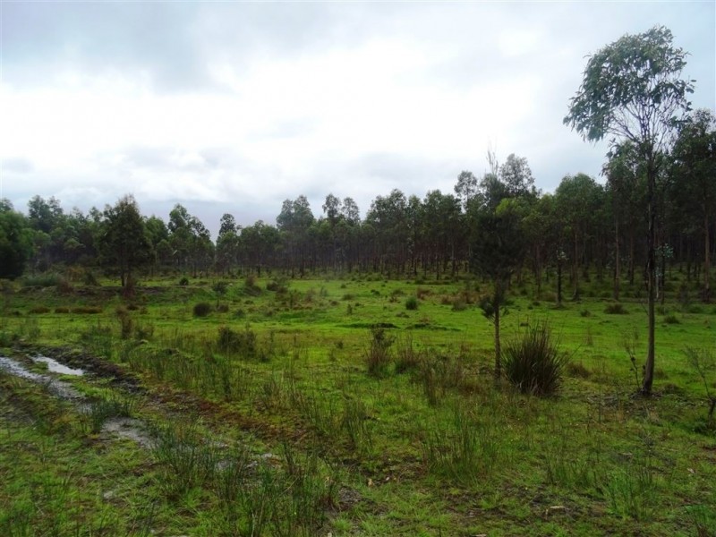 103ha Ansons Bay Road, St Helens TAS 7216