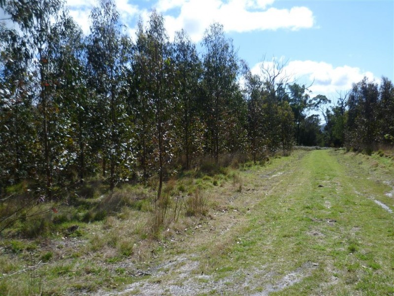 103ha Ansons Bay Road, St Helens TAS 7216