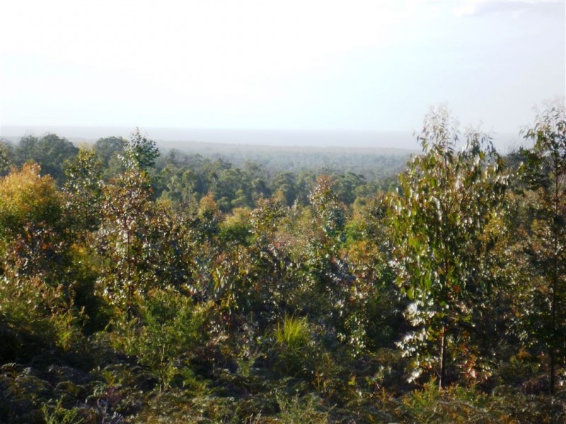243ha Musk Vale Road, George Town TAS 7253