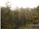 243ha Musk Vale Road, George Town TAS 7253