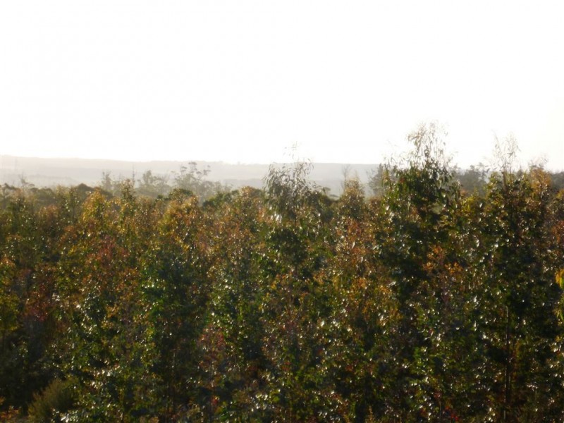 243ha Musk Vale Road, George Town TAS 7253