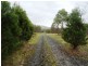 149ha Tasman Highway, Goshen TAS 7216