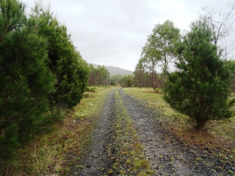 149ha Tasman Highway, Goshen TAS 7216