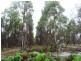 149ha Tasman Highway, Goshen TAS 7216