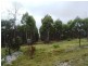 149ha Tasman Highway, Goshen TAS 7216
