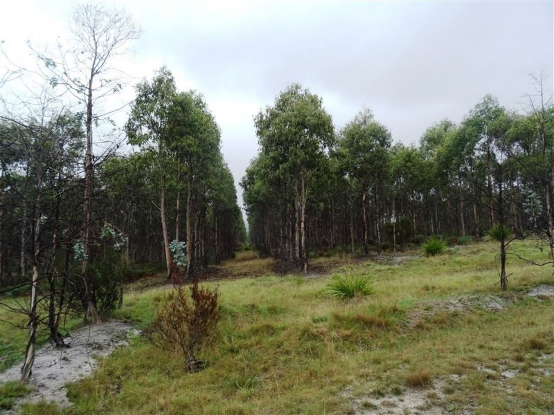 149ha Tasman Highway, Goshen TAS 7216
