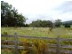 149ha Tasman Highway, Goshen TAS 7216