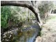 3010 Blessington Road, Blessington TAS 7212