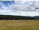 3010 Blessington Road, Blessington TAS 7212