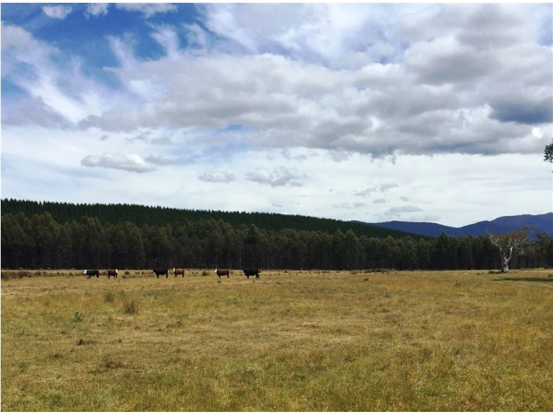 3010 Blessington Road, Blessington TAS 7212