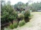 3010 Blessington Road, Blessington TAS 7212