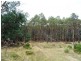 3010 Blessington Road, Blessington TAS 7212