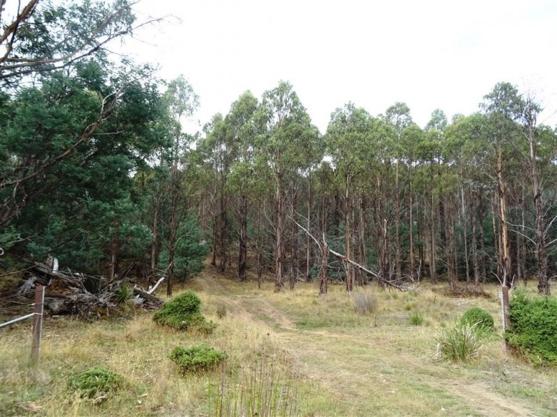 3010 Blessington Road, Blessington TAS 7212