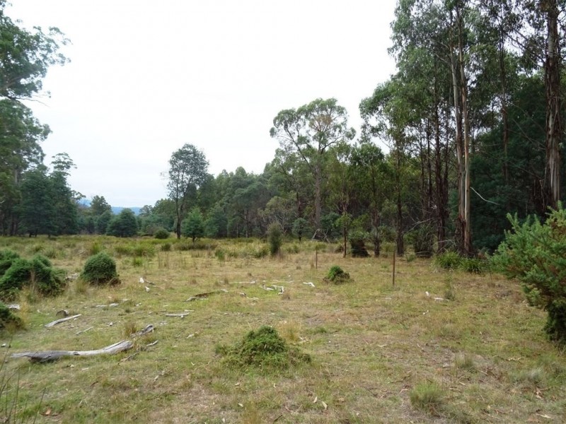 3010 Blessington Road, Blessington TAS 7212