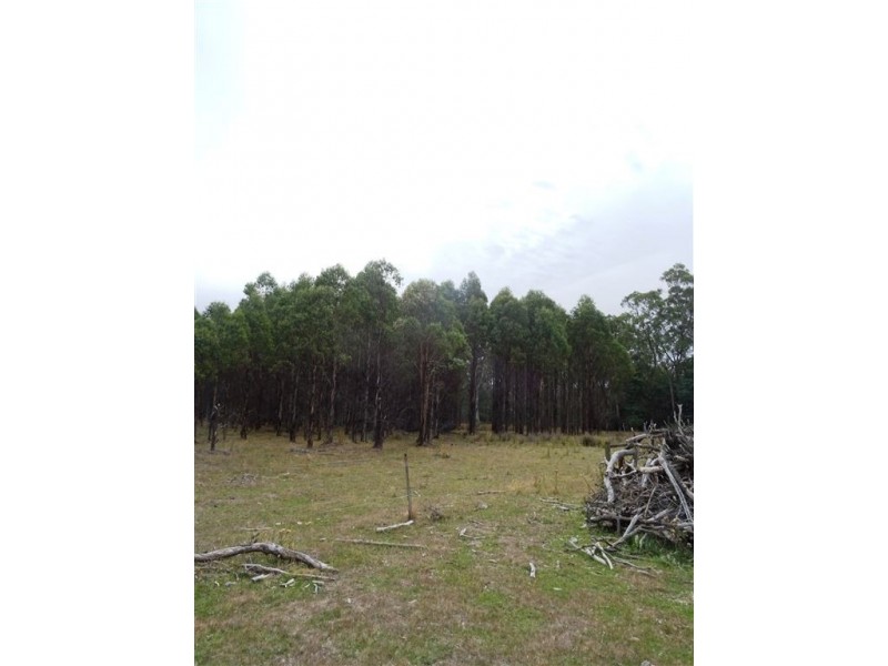 3010 Blessington Road, Blessington TAS 7212