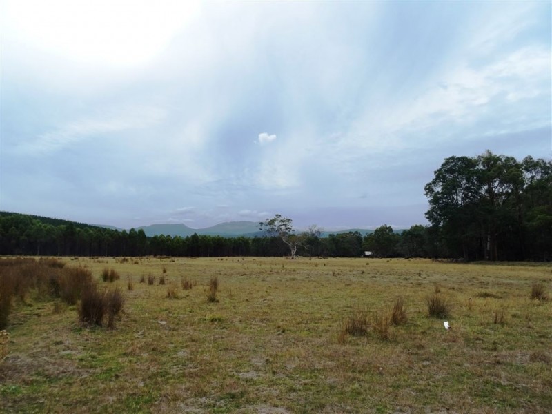 3010 Blessington Road, Blessington TAS 7212