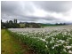 426 Preston Road, North Motton TAS 7315