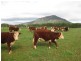426 Preston Road, North Motton TAS 7315
