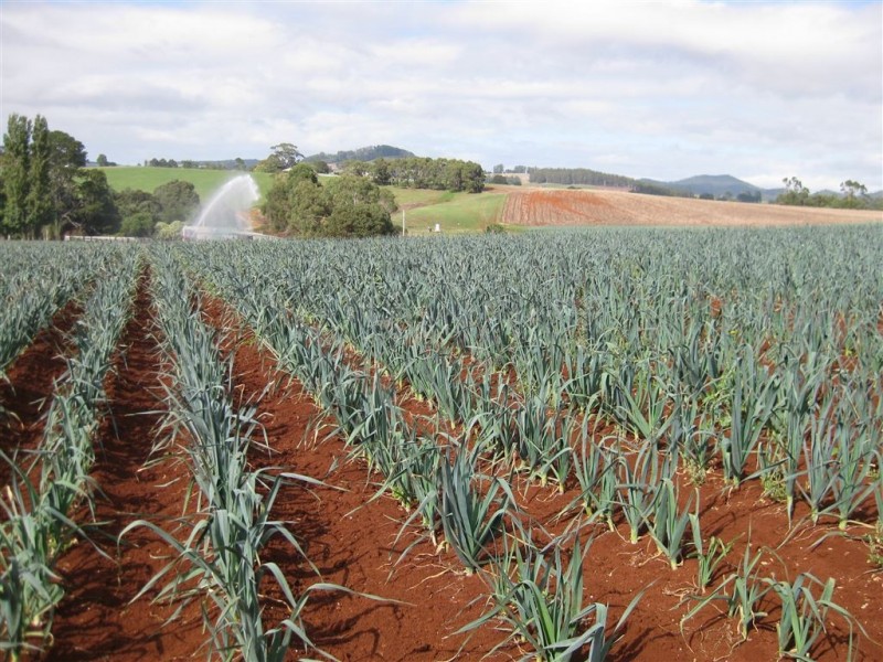 426 Preston Road, North Motton TAS 7315