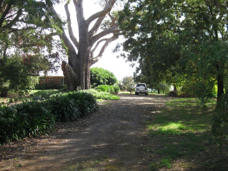 426 Preston Road, North Motton TAS 7315