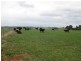 426 Preston Road, North Motton TAS 7315