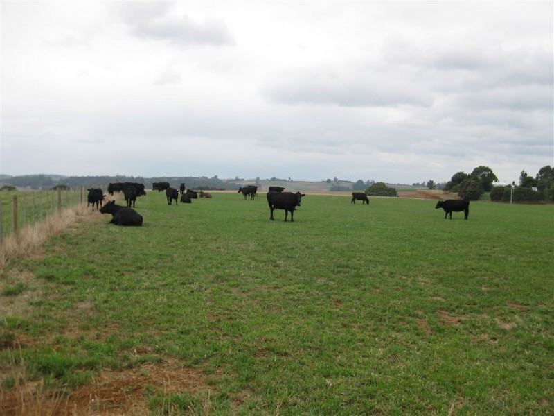 426 Preston Road, North Motton TAS 7315