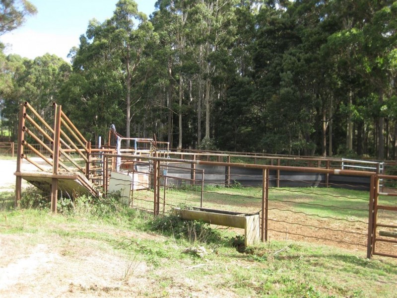 426 Preston Road, North Motton TAS 7315