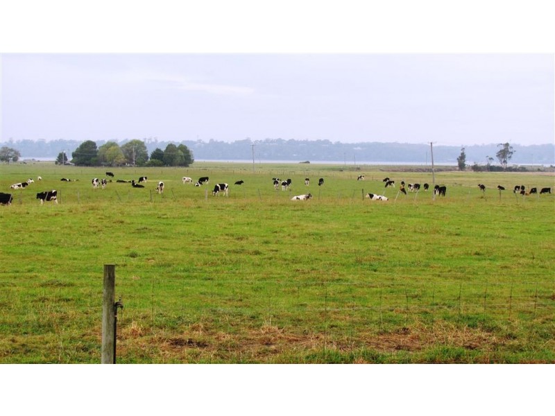 114 Cecilia Street, St Helens TAS 7216