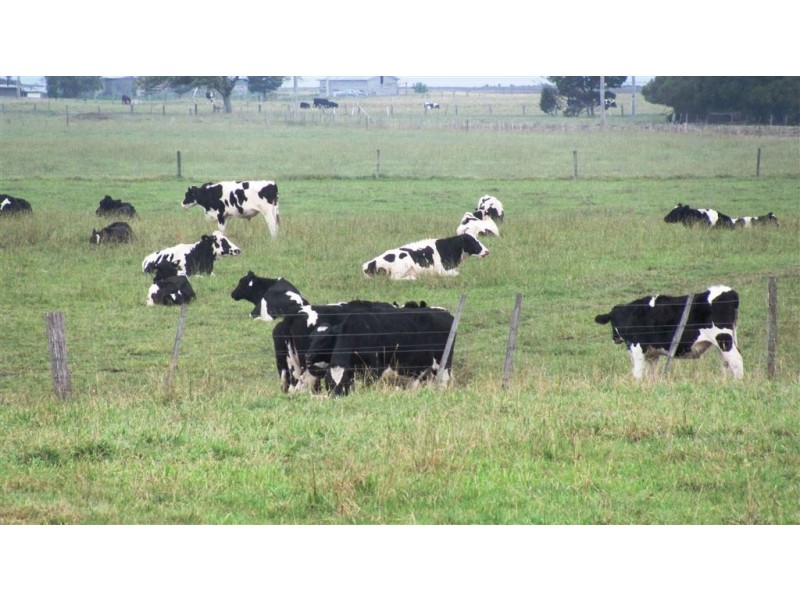 114 Cecilia Street, St Helens TAS 7216