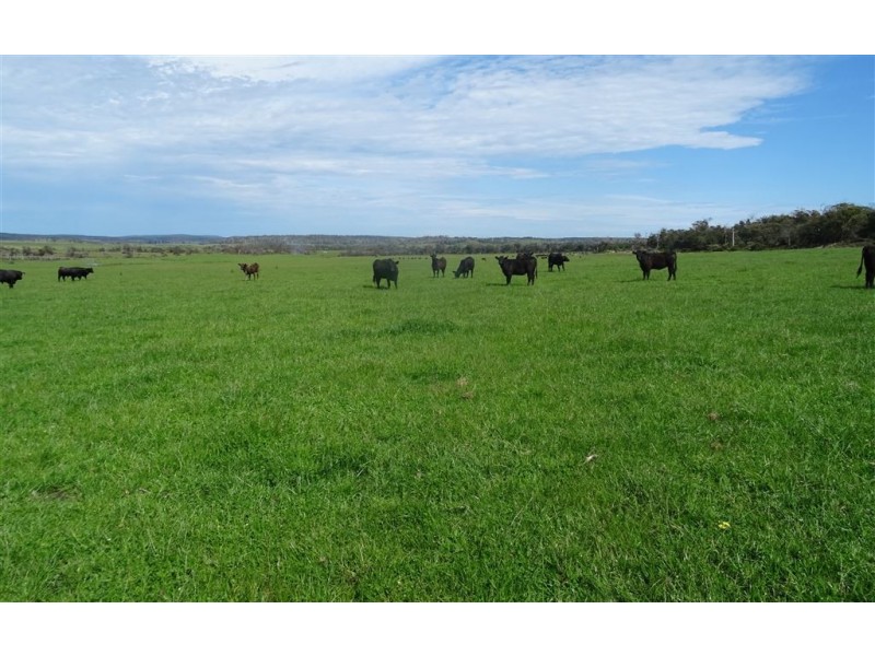 . Waterhouse Road, Boobyalla TAS 7264