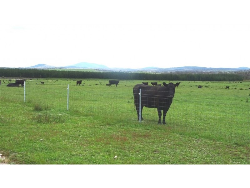 . Waterhouse Road, Boobyalla TAS 7264