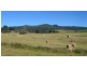 244 Kamona Valley Road, Kamona TAS 7260