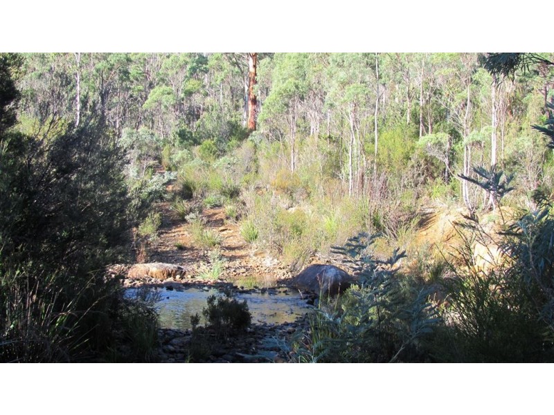 361-365 Pipers River Road, Turners Marsh TAS 7267