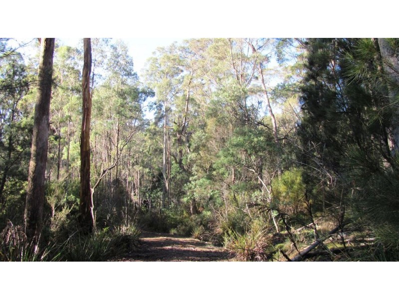 361-365 Pipers River Road, Turners Marsh TAS 7267