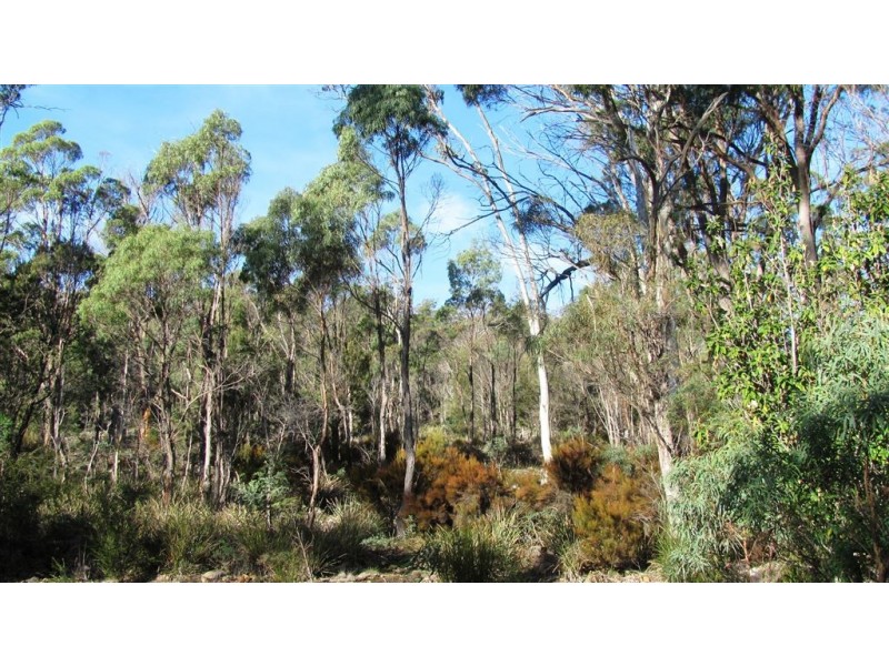 361-365 Pipers River Road, Turners Marsh TAS 7267