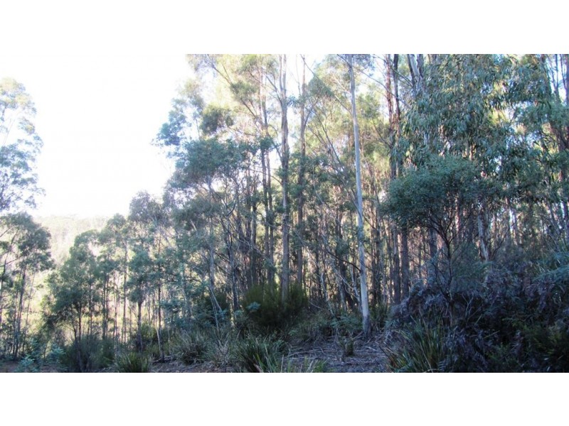 361-365 Pipers River Road, Turners Marsh TAS 7267