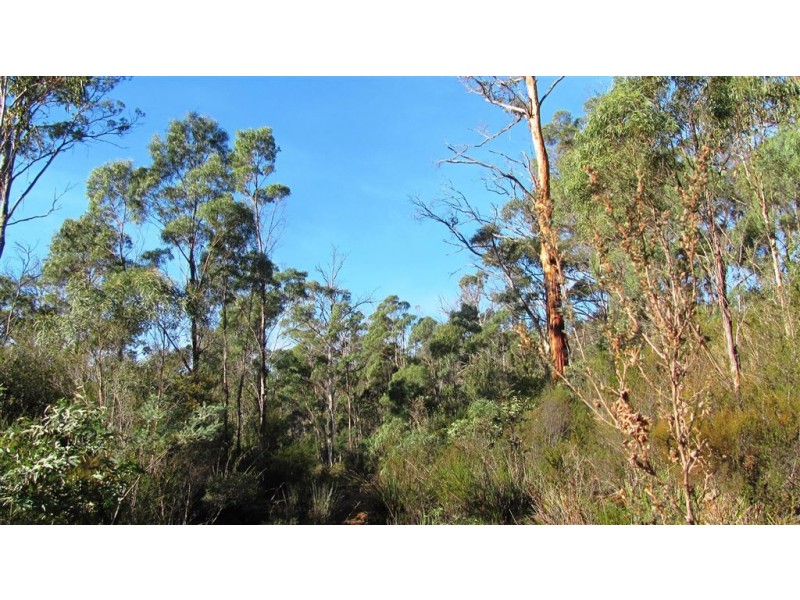 361-365 Pipers River Road, Turners Marsh TAS 7267