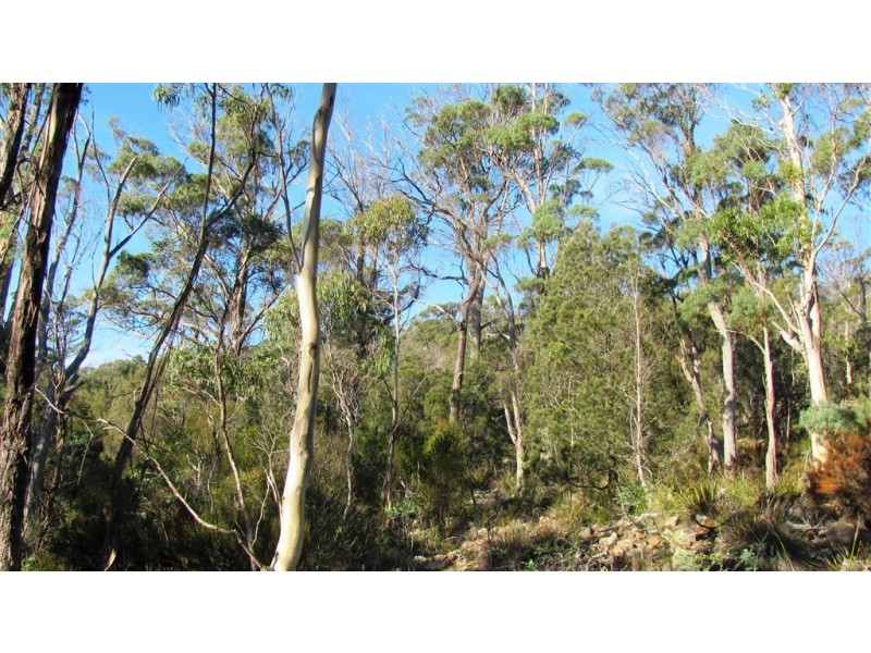 361-365 Pipers River Road, Turners Marsh TAS 7267