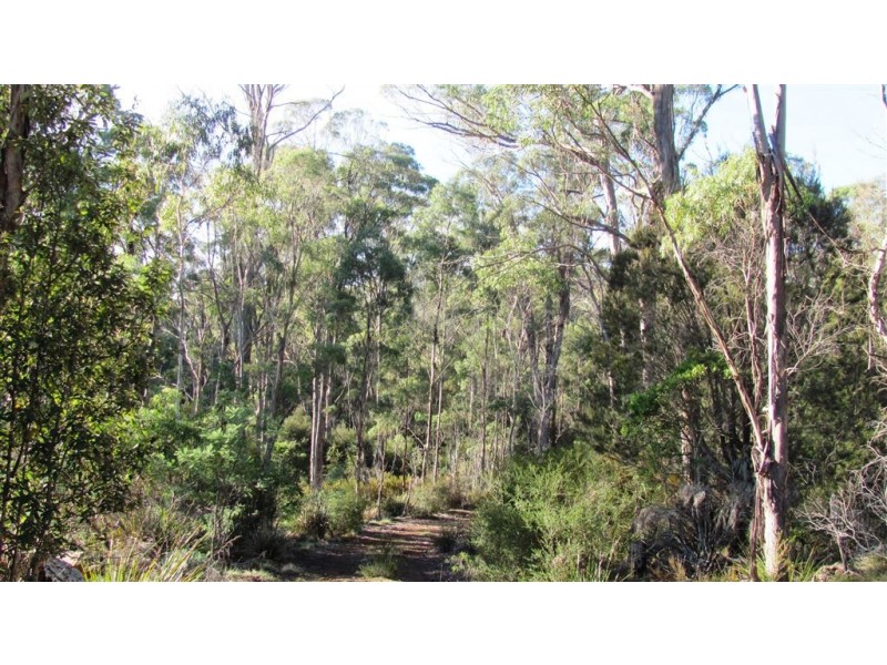 361-365 Pipers River Road, Turners Marsh TAS 7267