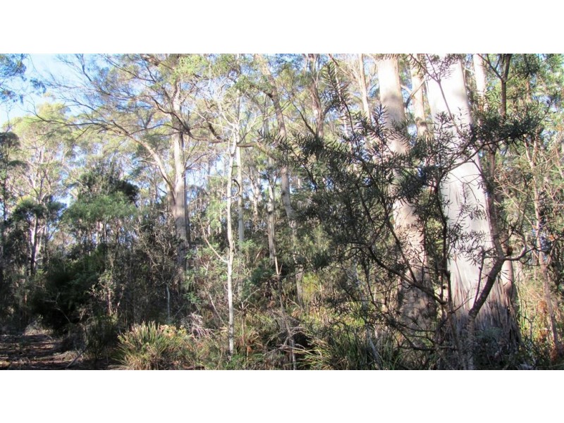 361-365 Pipers River Road, Turners Marsh TAS 7267