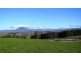 173 River Road, Deloraine TAS 7304