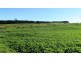 173 River Road, Deloraine TAS 7304