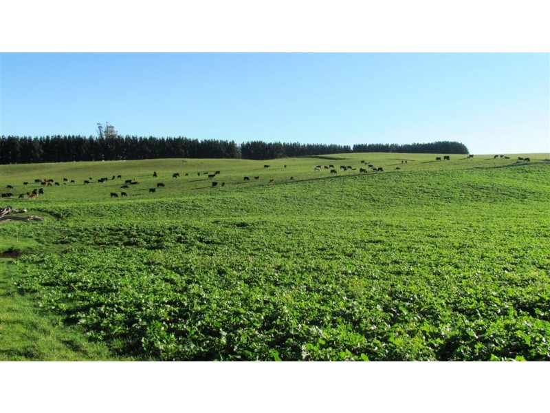 173 River Road, Deloraine TAS 7304