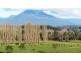173 River Road, Deloraine TAS 7304